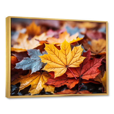 Yellow And Orange Autumn Leaves I - Tree Maple Wall Art