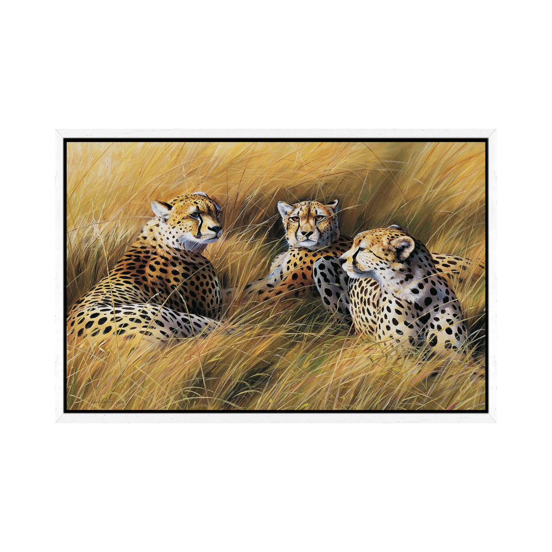 Africa Grass Cheetahs von Grant Hacking - Gallery-Wrapped Canvas Giclée on Canvas