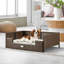 Canapé en rotin pour chien avec coussin en mousse-1765857773-1765857774