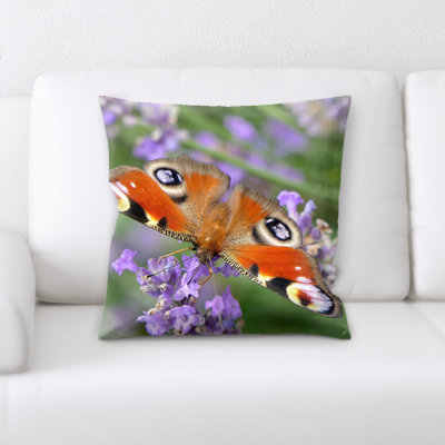 Coussin de papillon peacock