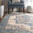 Alieda Oriental Indoor Rug-1644442423