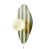 Beige/Green