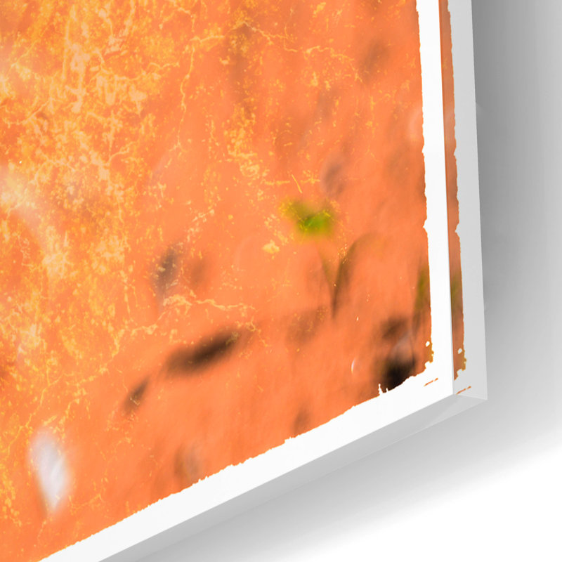 «Desert Flower 4» par Lightbox Journal, H 12 po x l 16 po x P 0,13 po