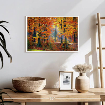 Arbres d'automne