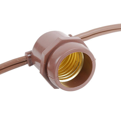 Darius Outdoor 25 - Bulb 37.5'' Plug-in String Light