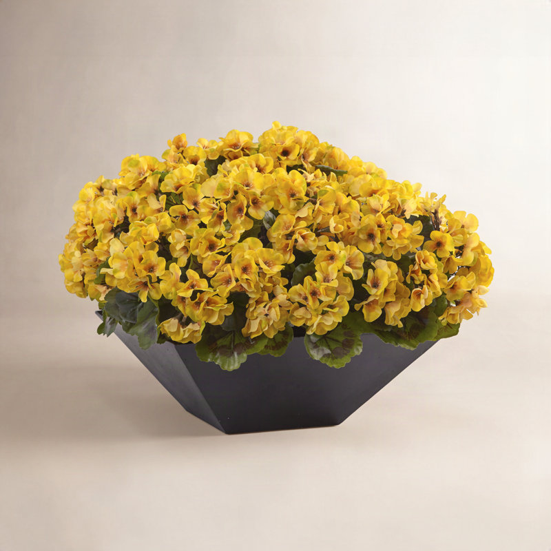 15 po Géranium avec jardinière noire résistante aux rayons UV (intérieur / extérieur), Jaune