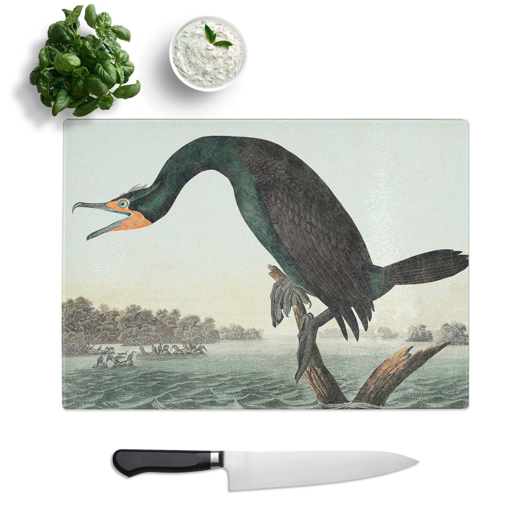 Glass Florida Cormorant Bird by John James Audubon Chopping Board