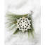 Lenox 2026 Snow Fantasies Snowflake Ornament