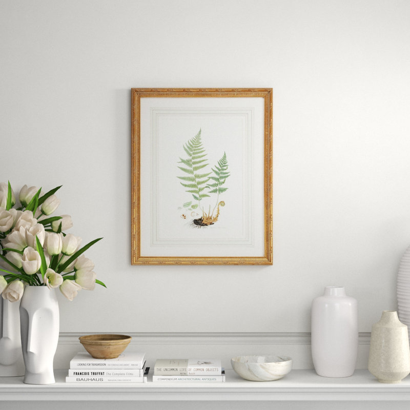 Curtis Ferns II Print