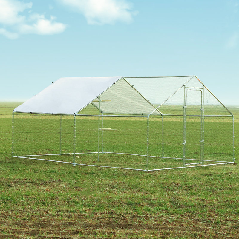 Cage à poules avec cage Alena, H 78,70 po x l 157,50 po x P 118,10 po