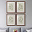 «Soft Shape I», ensemble de 4 reproductions de cadres photo-1393158494-1393158490