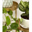 Support pour plante Malachy-1702073425