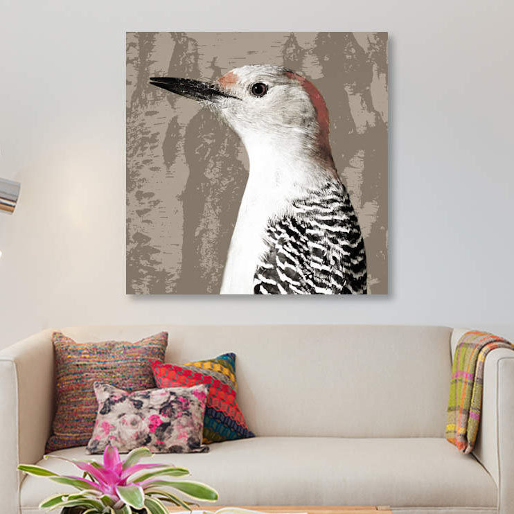 « plumed iv », impression sur toile, H 18 po x l 18 po x P 1,5 po, Pas de tapis, Papier d'art encadré noir