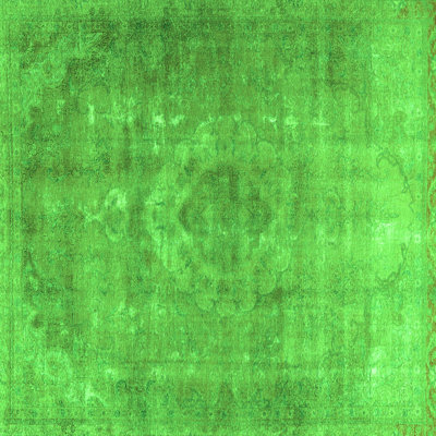 Entonio Performance Oriental Indoor Rug