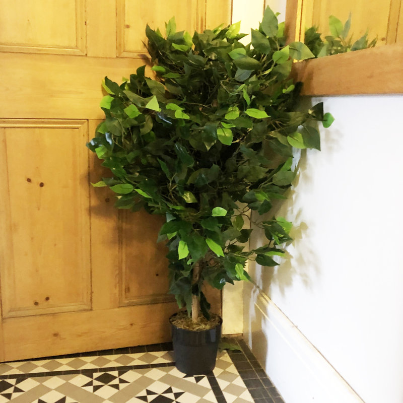 Annistyn 90cm Faux Ficus Tree in Pot