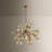 Santee Chandelier