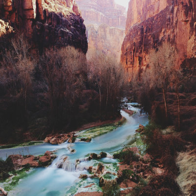 " Havasu Canyon Creek "