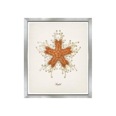 Nautical Art III Print by Sofia Fox