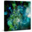 Colleen Taylor - Wrapped Canvas Print-22302239