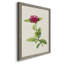 «Pretty Pink Botanicals II», reproduction d'art sur toile-1220564967-1220564975