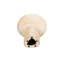 Table d'appoint basse Flavio-1582194153
