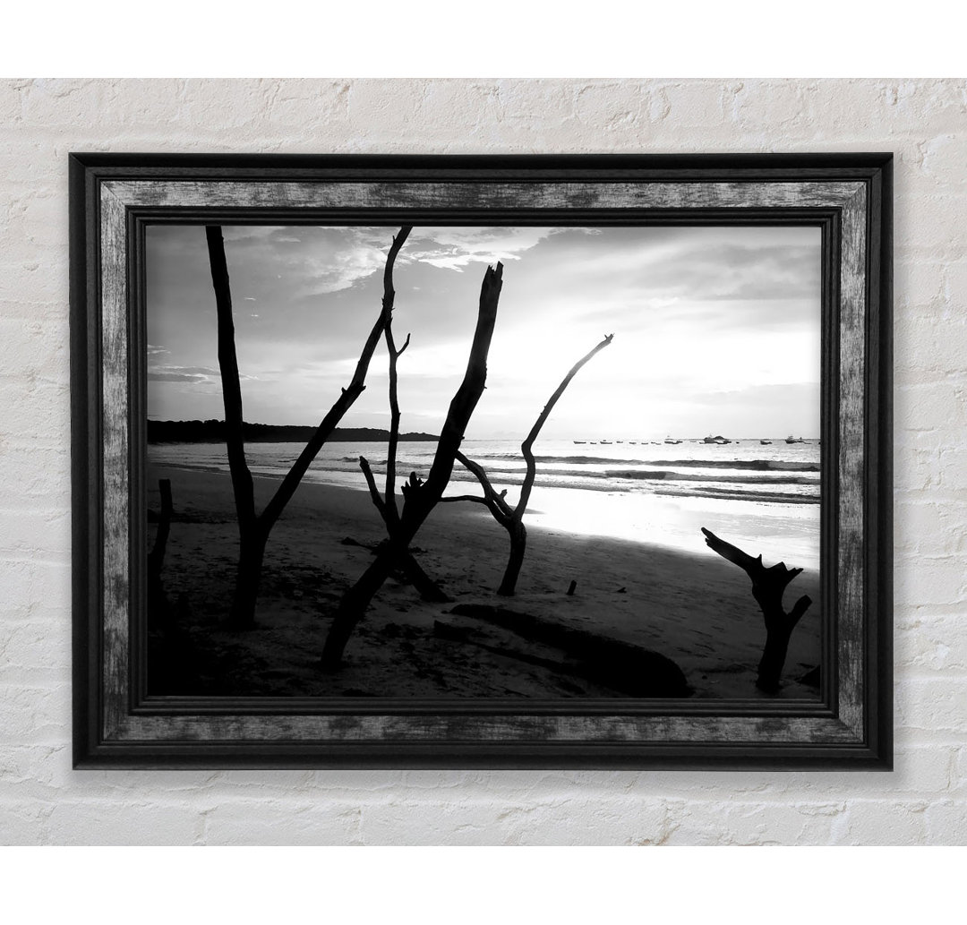 Driftwood Beach B N W - Einzelner Bilderrahmen Kunstdrucke