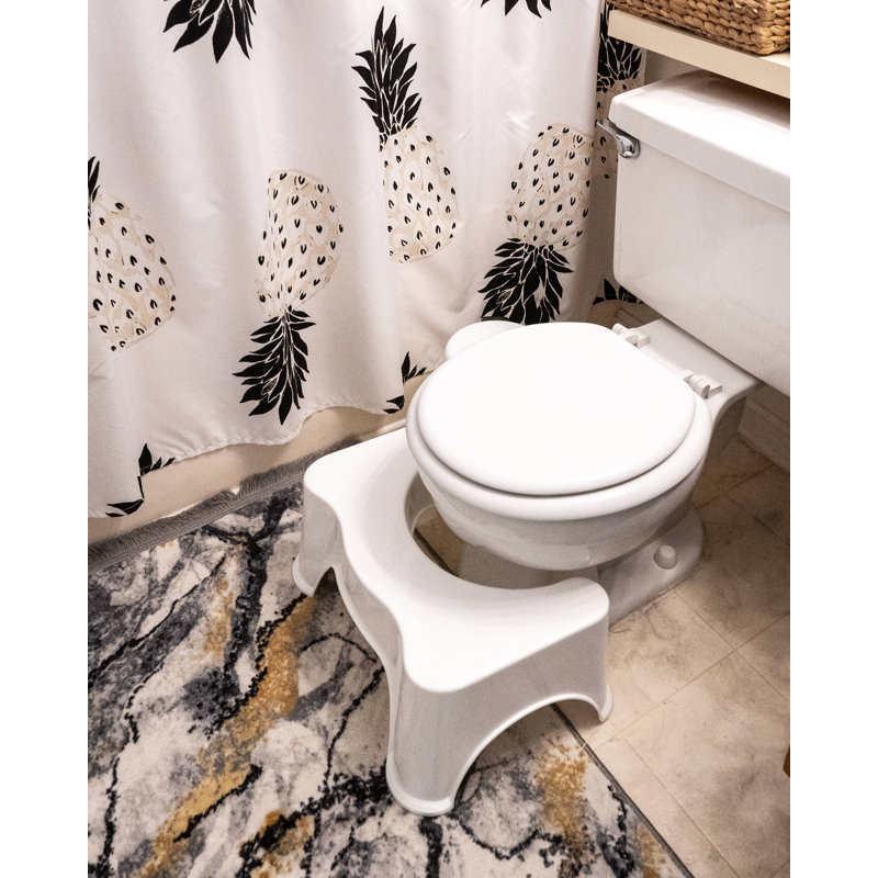 Raised Toilet Seat