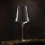 Josephine No. 2 Universal Wine Glass