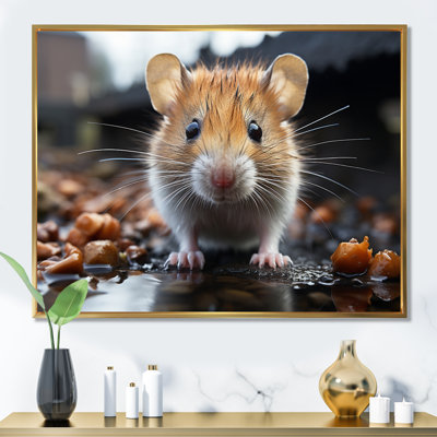 Curious Cute Rodent - Animals Canvas Art Print