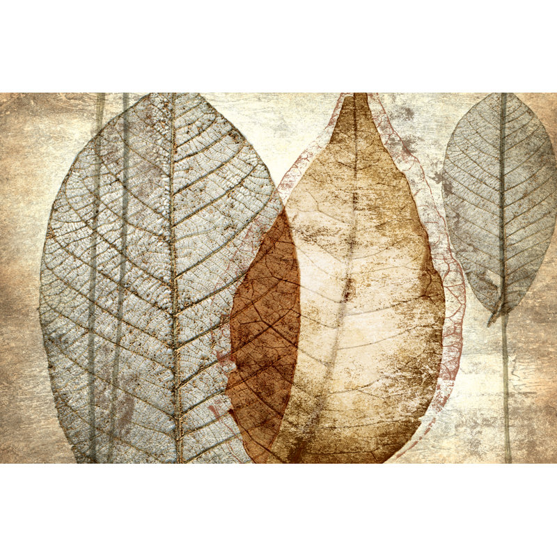 Transparent Leaves - Wrapped Canvas Painting, 30cm H x 46cm W x 3.8cm D