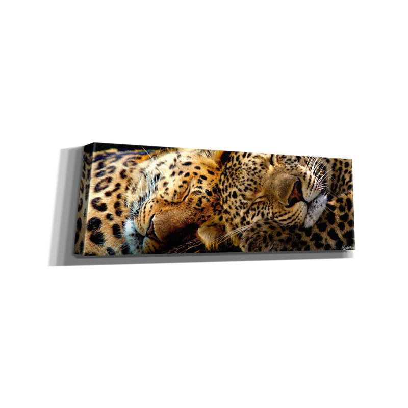 «Latitude Sleep 'Two Sleepers Cheetahs» par Murray Henderson, reproduction d'art sur toile, H 20 po x l 60 po x P 1,5 po