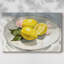 Citrons sur une plaque I-Gallery-1440972513