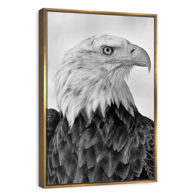 Fierce Looking Eagle
