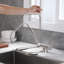 Belfry Kitchen Trowbridge Kitchen Faucet-1469633320