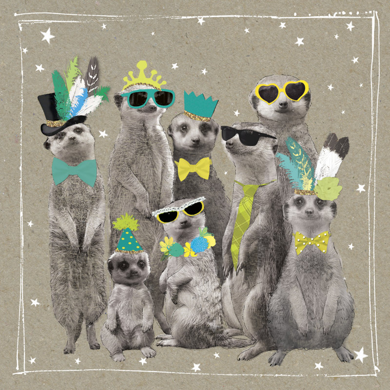 Fancy Pants Zoo I - Wrapped Canvas Print, 30cm H x 30cm W