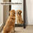 Rustic Farmhouse/Cabin Log Full Length Wood Mirror 60"L x 21"W
