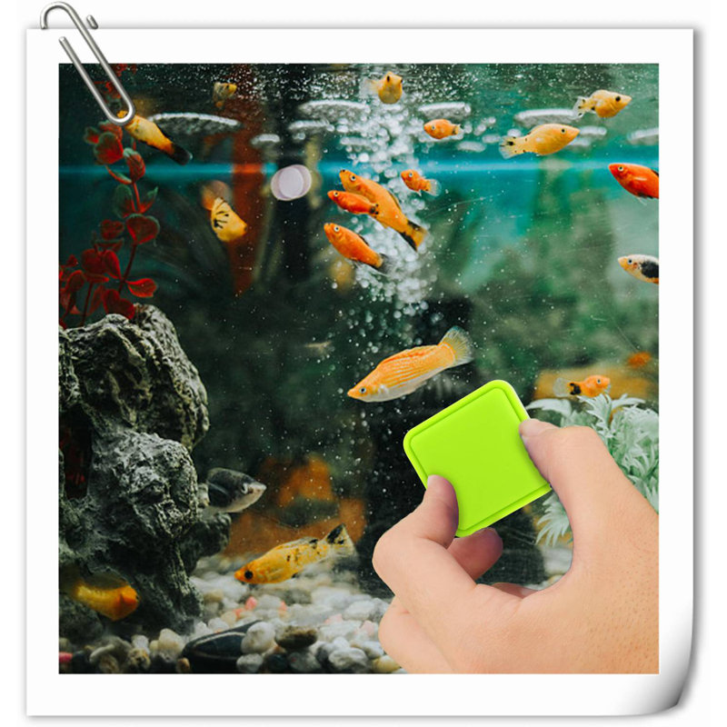 Eyrun Aquarium Accessory