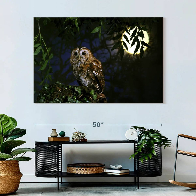 Hibou fauve Brampt, H 34 po x l 51 po