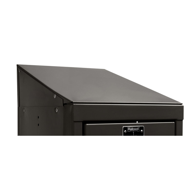 Plaque d'extrémité de dessus incliné, Compatible avec casier l 4 po x P 12 po, Noir