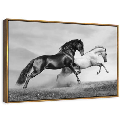 Sprint de chevaux arabes