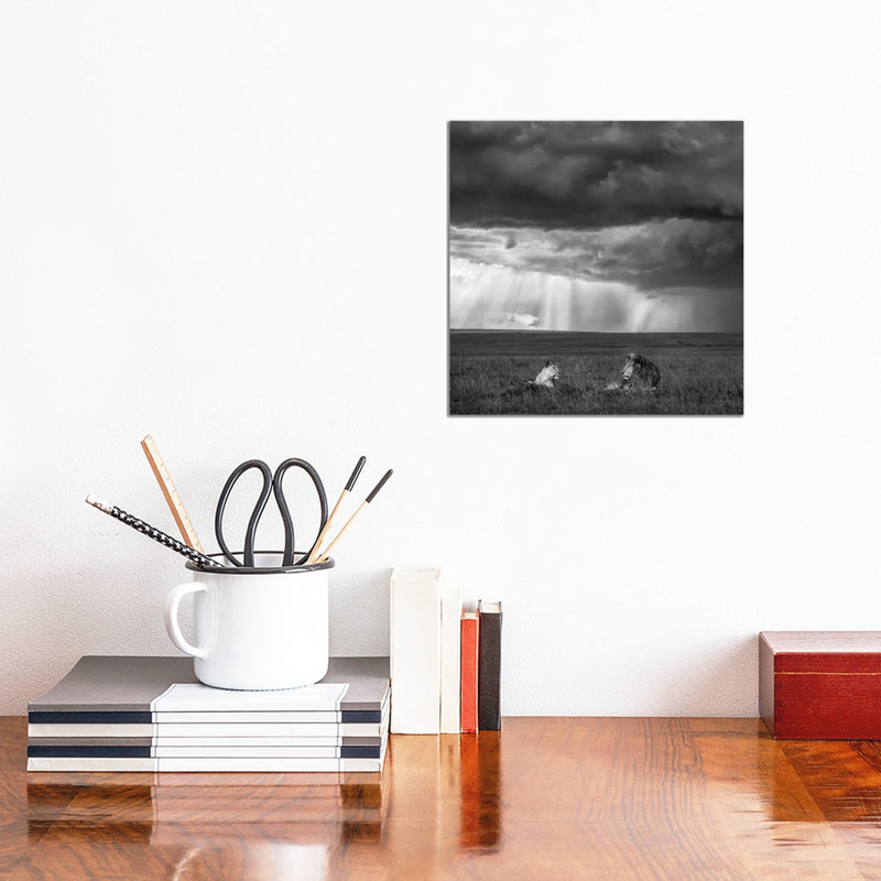 Valentine by John Fan - Wrapped Canvas Print, 30.48 cm H x 30.48 cm W