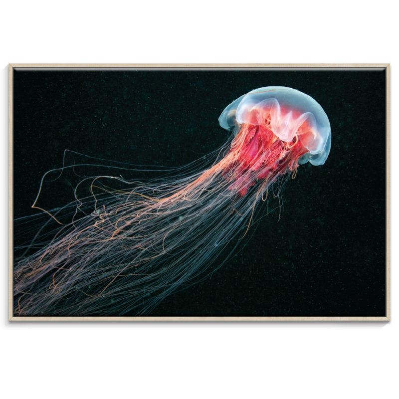 Print on Canvas, 51cm H x 76cm W, Timber