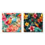 Ensemble de 2 tropiques tropiques-101864672-101864666