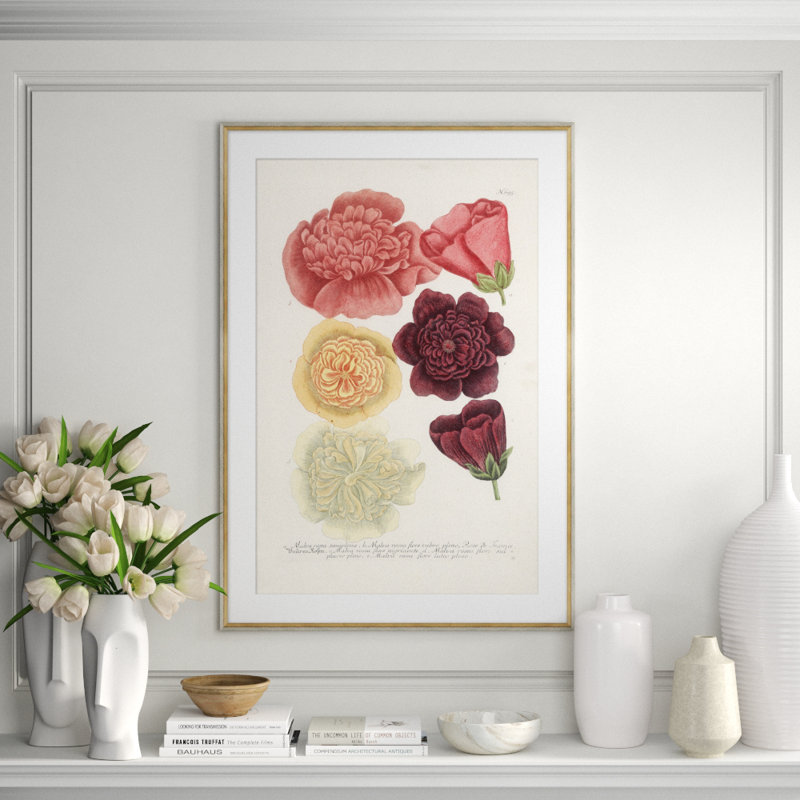 Botanicals Giclee Print by Soicher Marin Archives