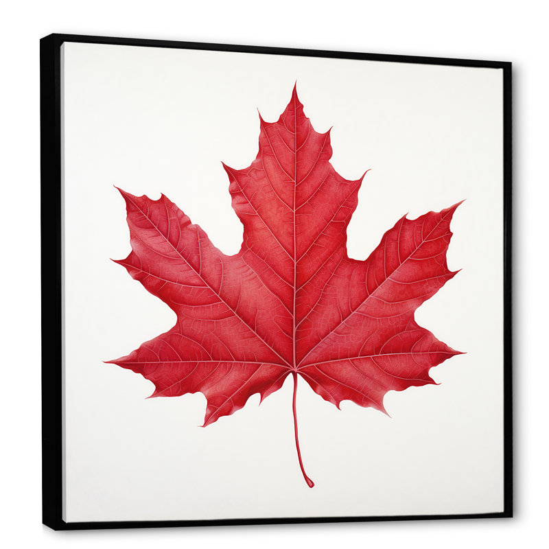 Feuille d'érable écarlate Simplicity II, H 36 po x l 36 po x P 1,5 po, Cadre simple noir