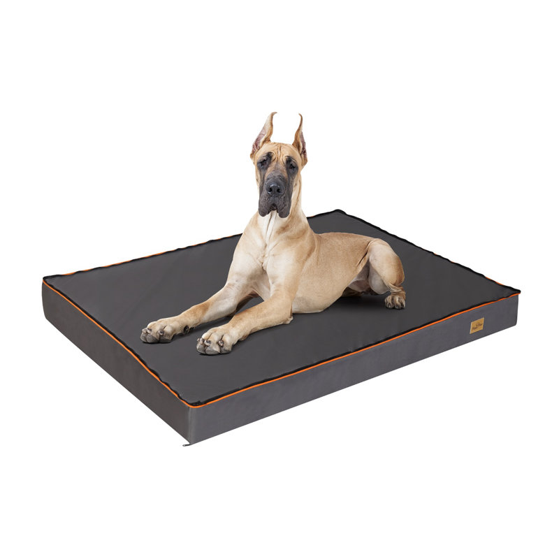 Wakefield Orthopedic Polyester Pet Bed, 12cm H x 135cm W x 100cm D