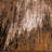 Misouk Abstract Indoor Rug-367653836