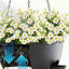 Planter
