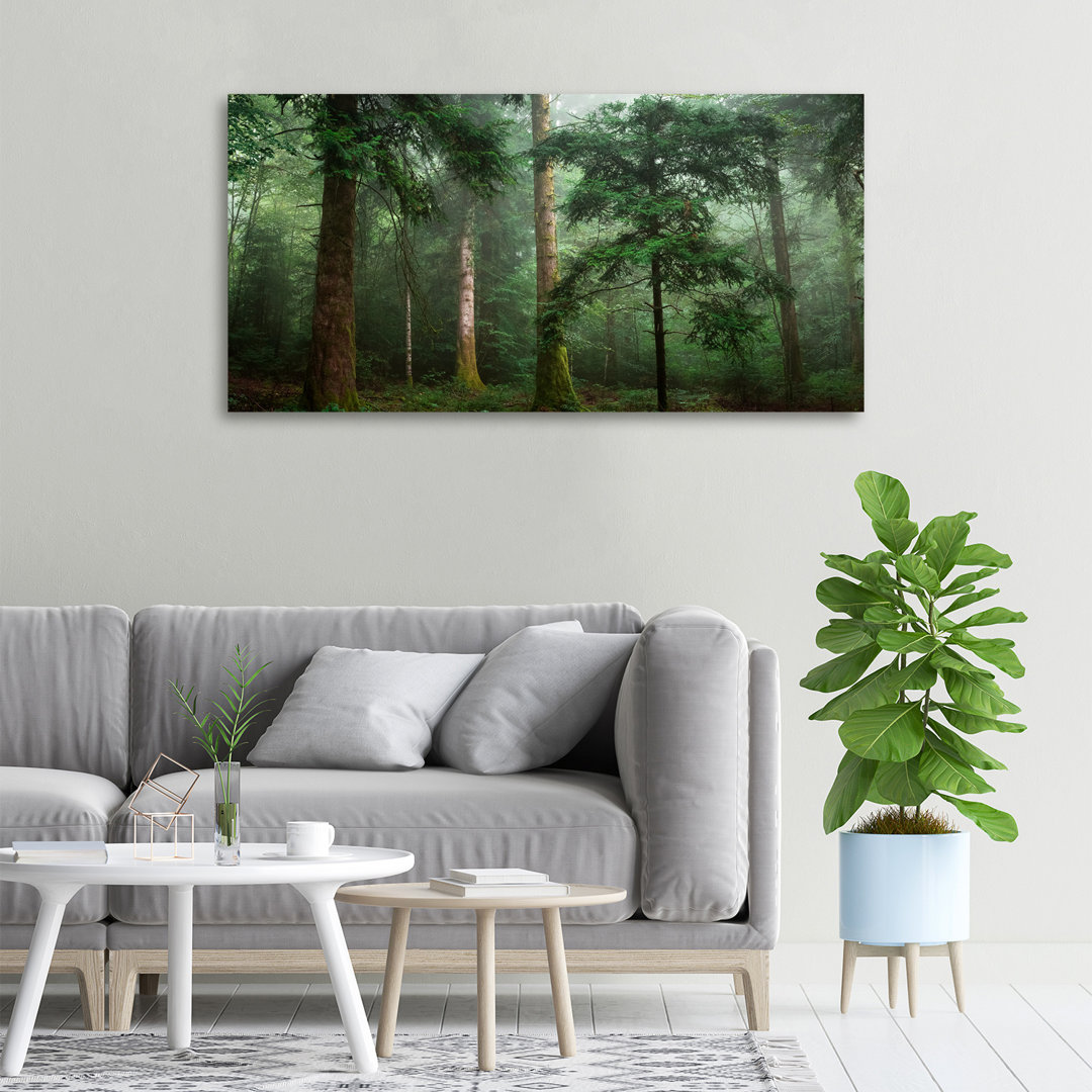 Nebel im Wald - Kunstdrucke auf Leinwand - Wrapped Canvas