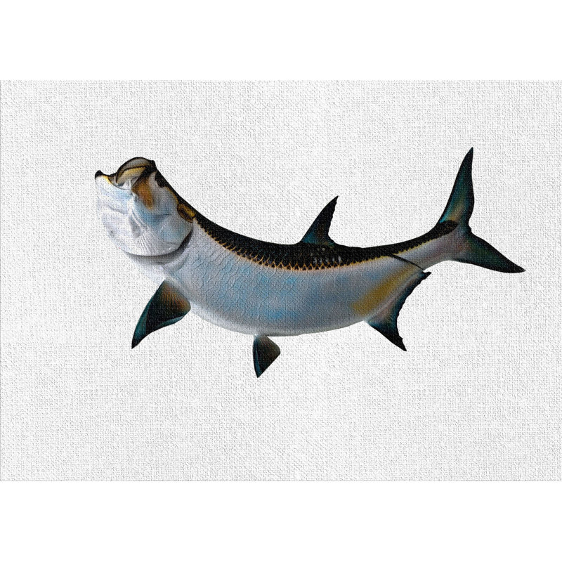 Tapis zone gris clair tarpon fish, Rectangle 2 pi x 3 pi